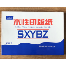 双星版纸 310*450
